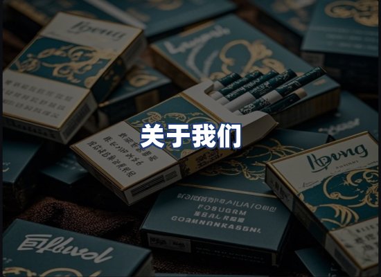 关于我们